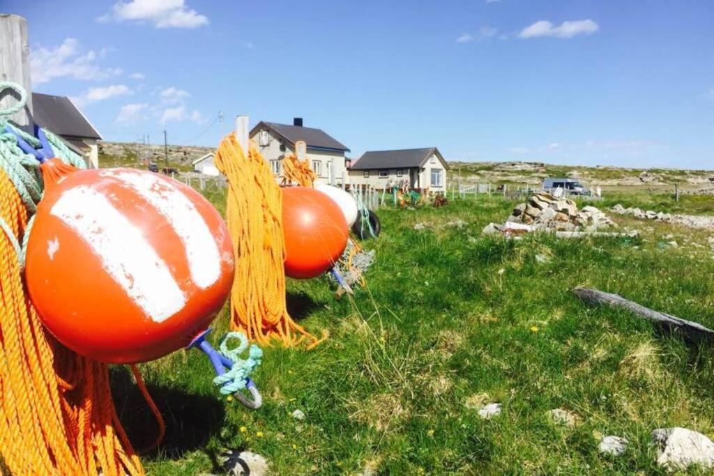 Arctic House By The Sea, Vadso, Varanger Dış mekan fotoğraf